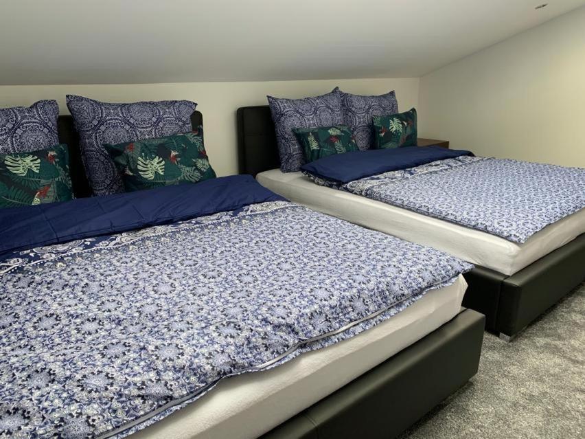 Look Of Dreams - Apartamenty Sloneczny I Ksiezycowy Będzin Extérieur photo